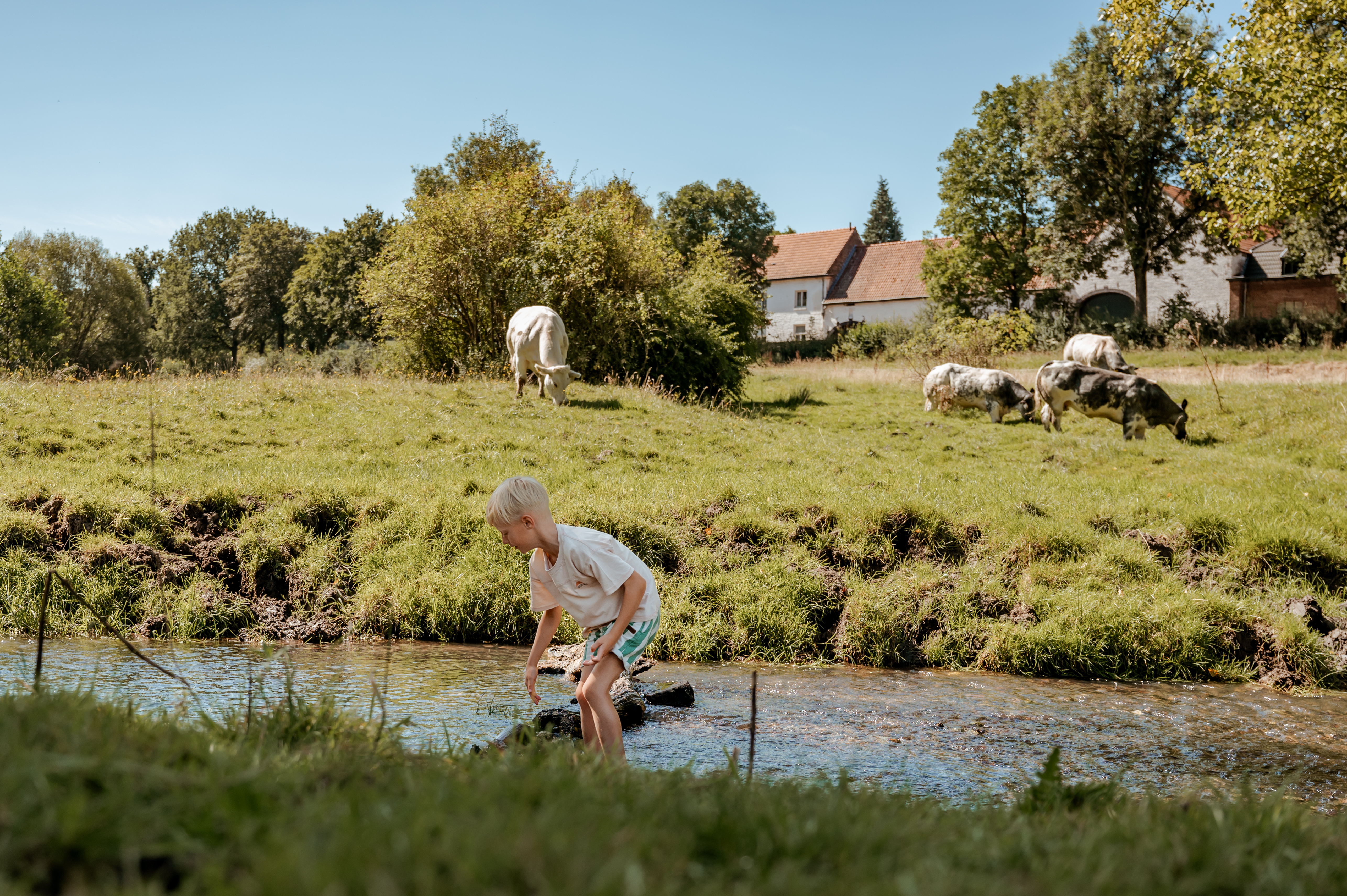 Wandelroute Gulpen-Wittem - Langs groen en blauw in het Gulpdal