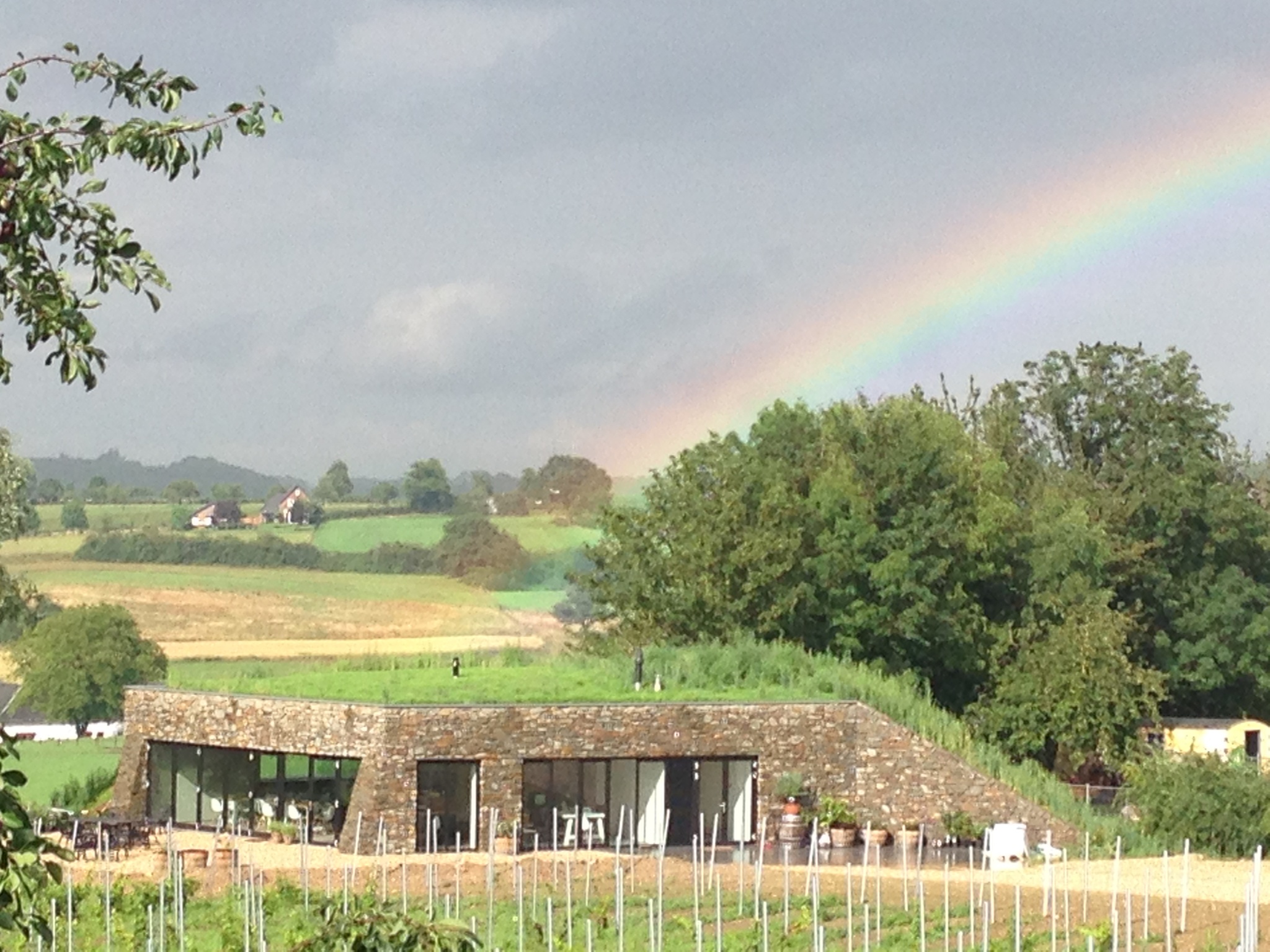 Sint Martinus Wine Walk