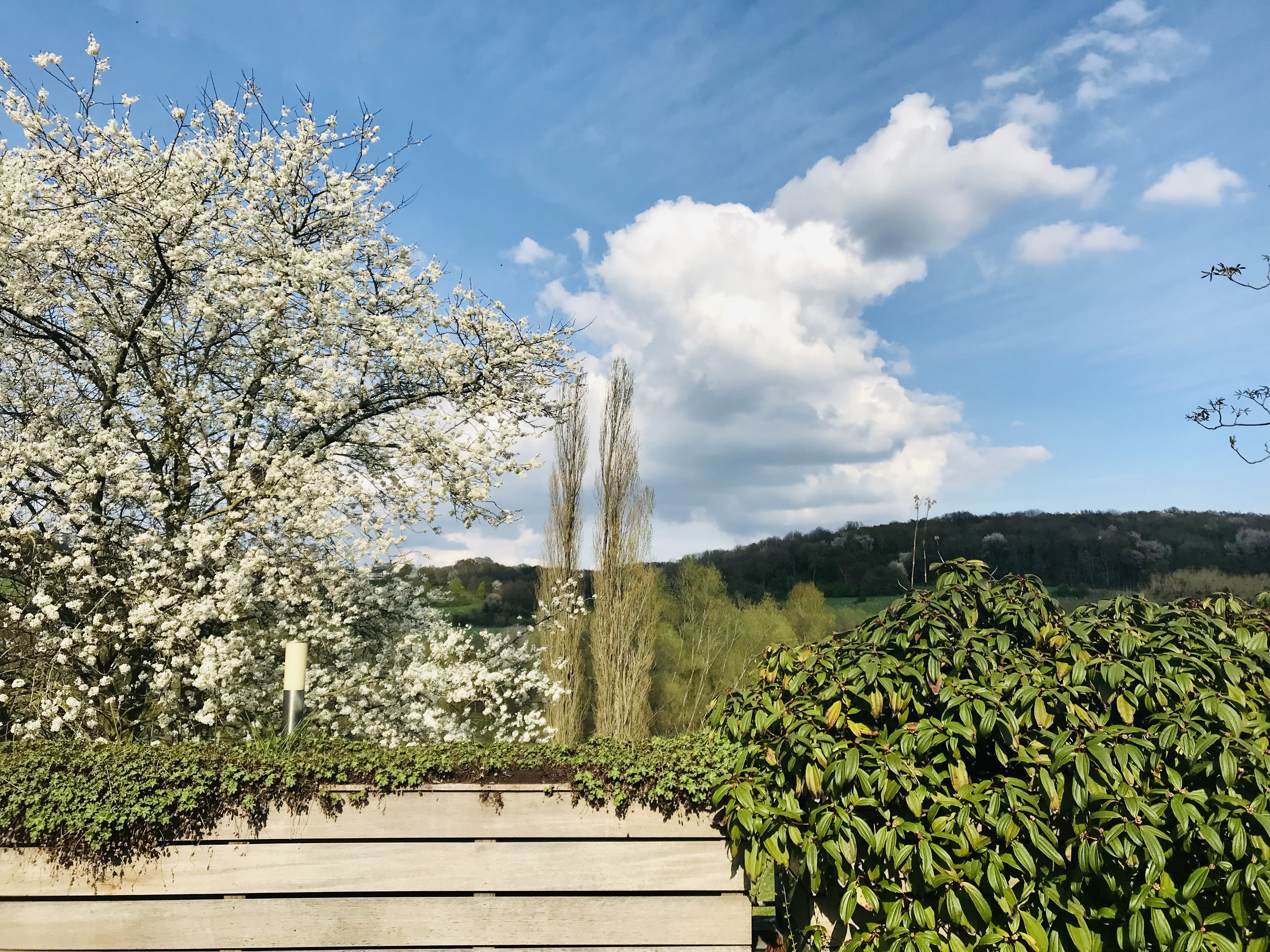 Hotel-B&B en Appartement De Zevende Heerlijkheid