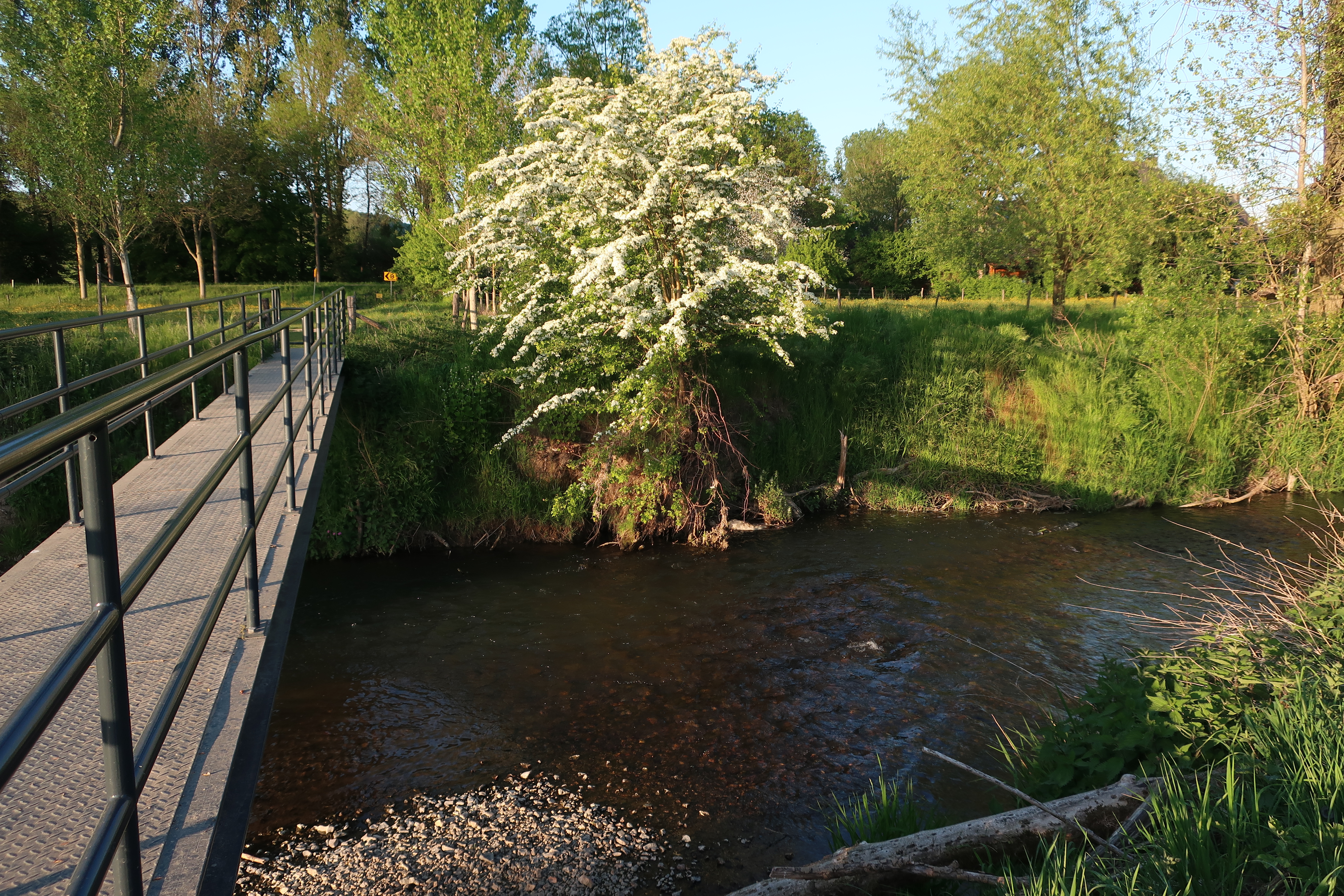 Verstillingswandeling