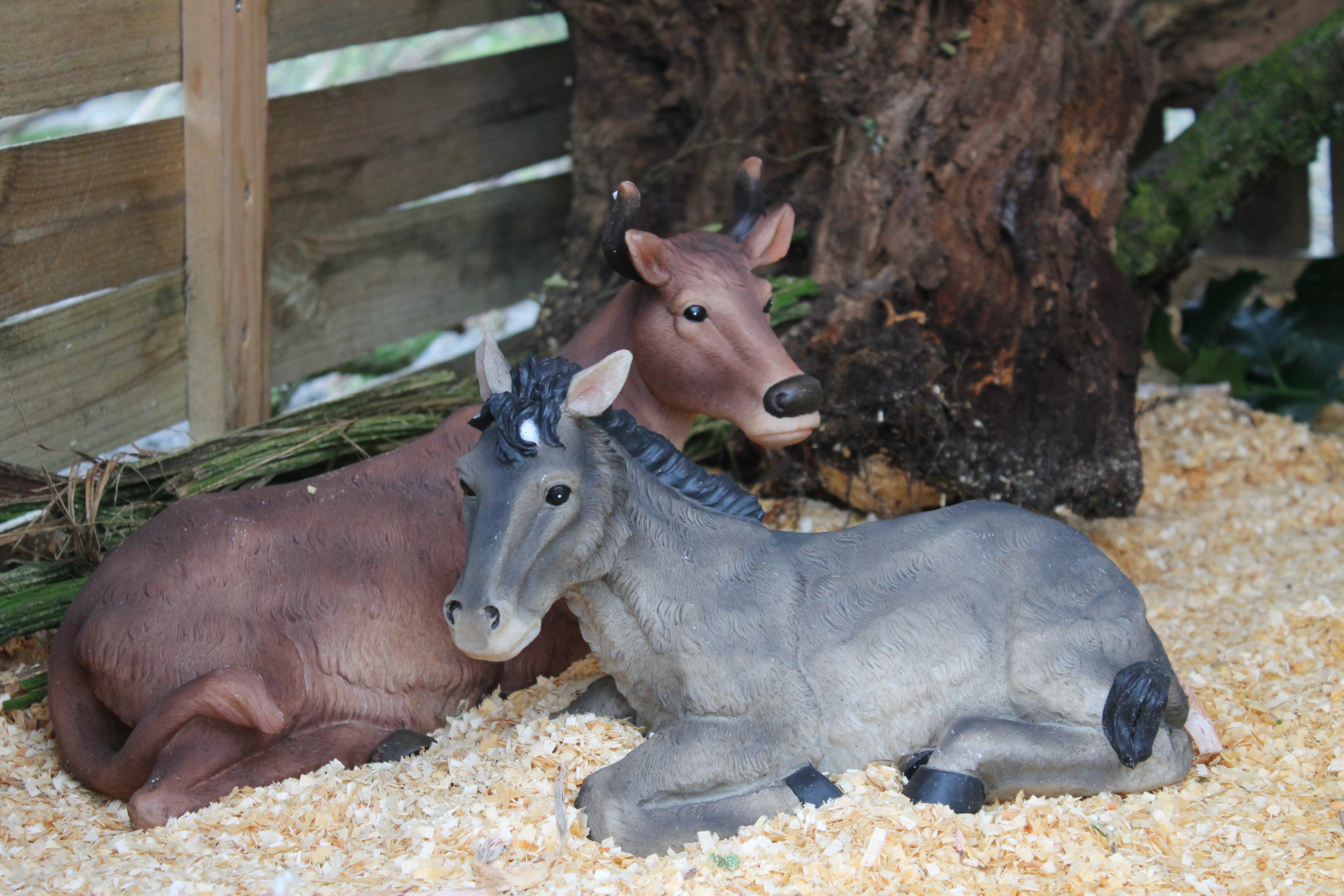  kribkeswandeling Wahlwiller - Mechelen