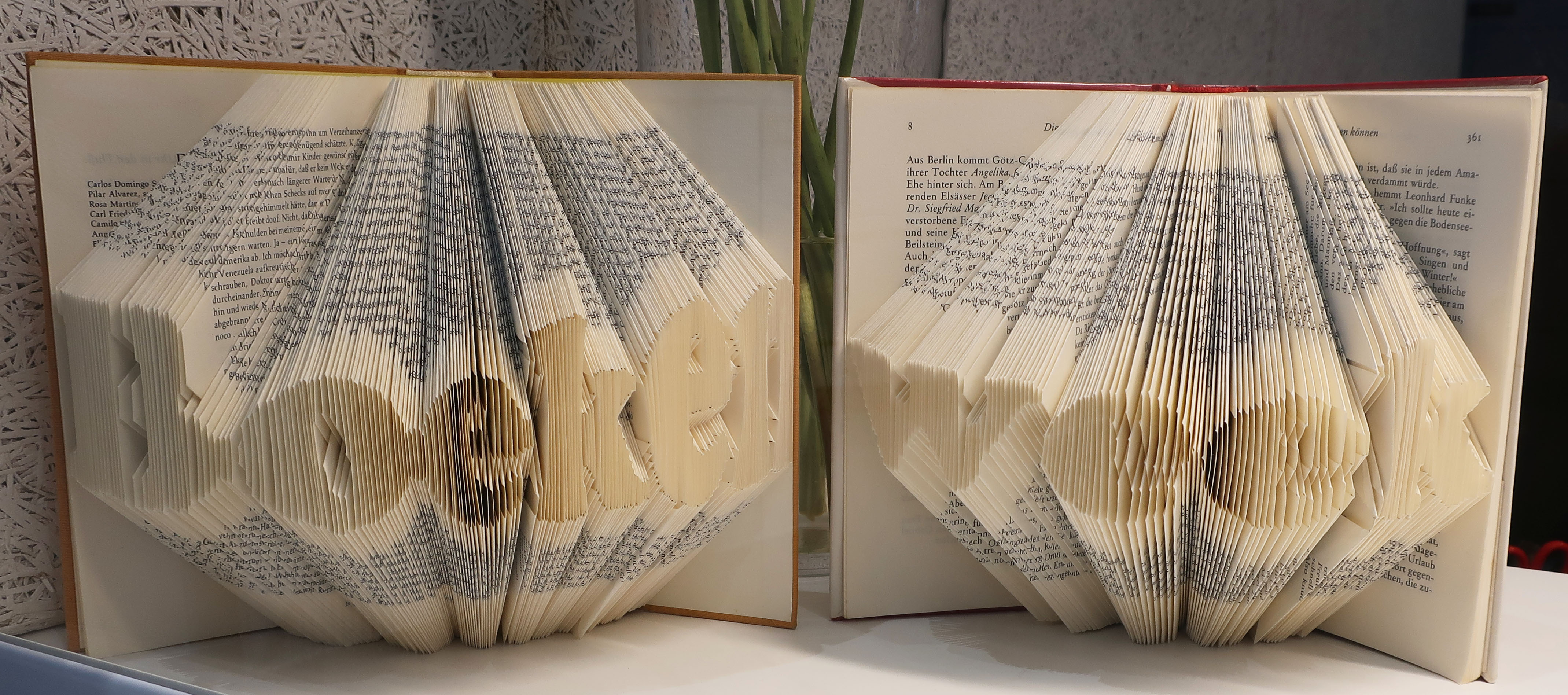 Limburgse Literaire Middag