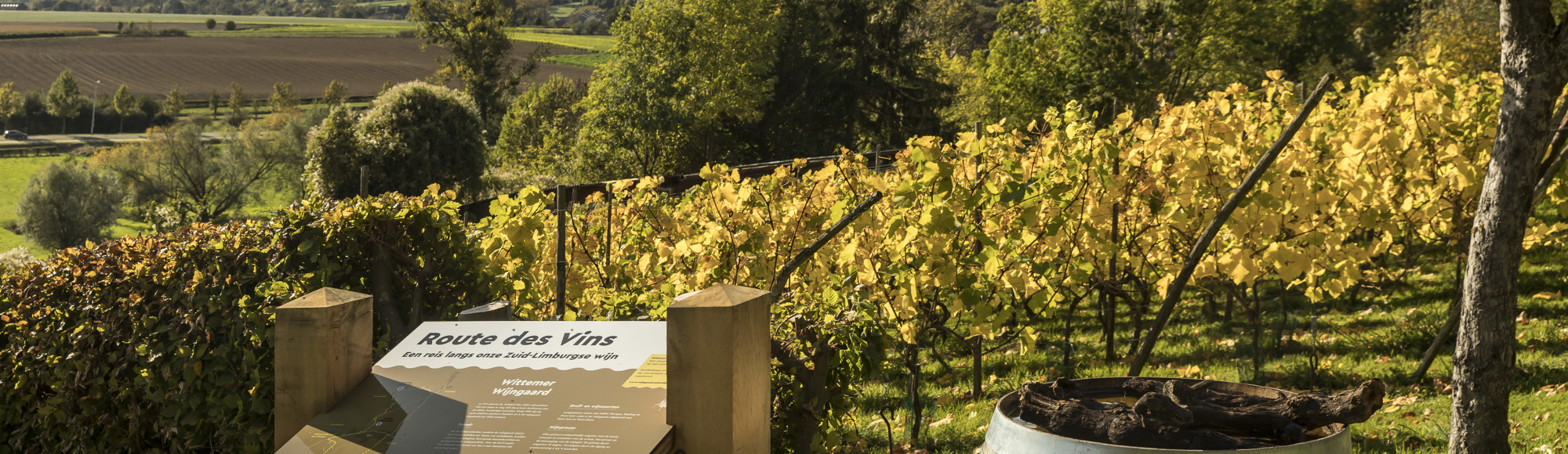 Een wijnbord van Route des Vins met uitzicht over de gele wijnranken in de herfst en de heuvels