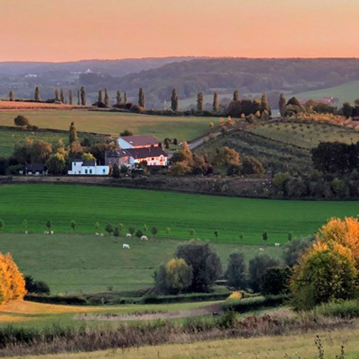 Uitzicht op Eys in glooiende heuvels met een roze lucht.